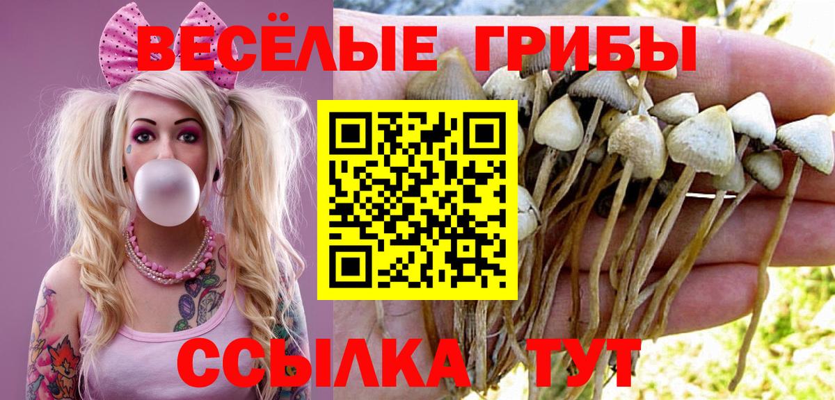 Галлюциногенные грибы мухоморы Протвино