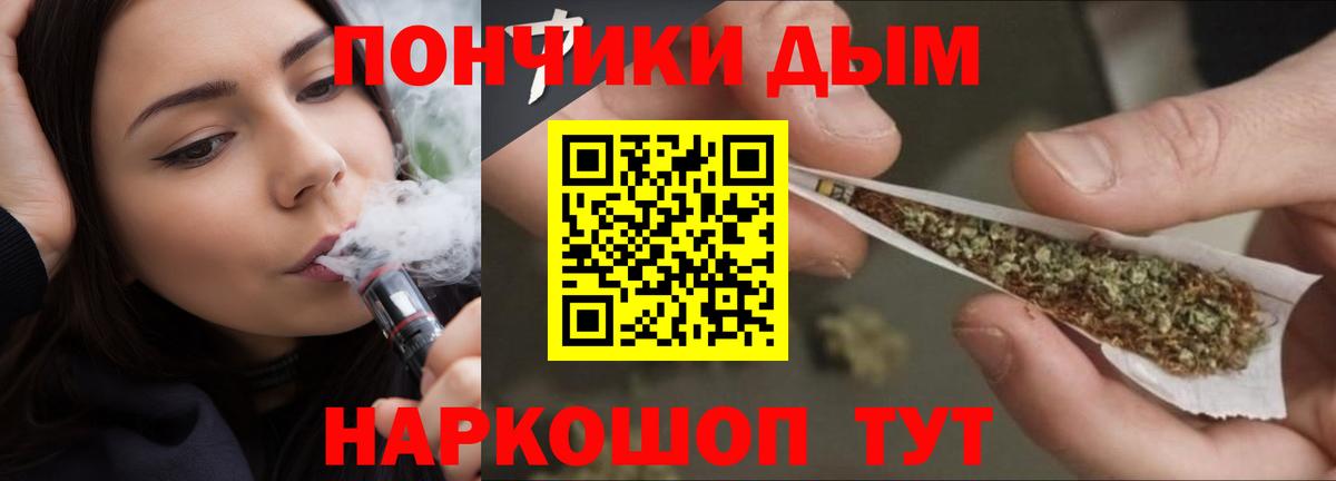 Каннабис план  Конопля LSD WEED  Бошки Шишки SATIVA & INDICA  Вход с VPN  Протвино 